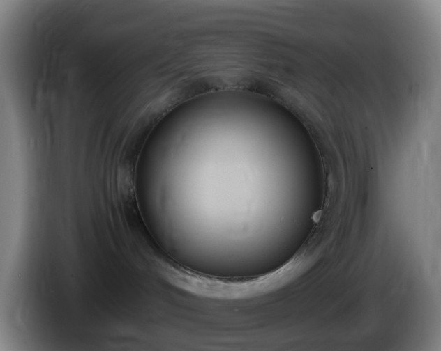 X0000086110048200703301246