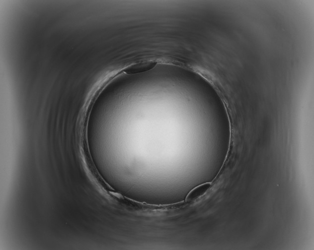 X0000086110049200703301246