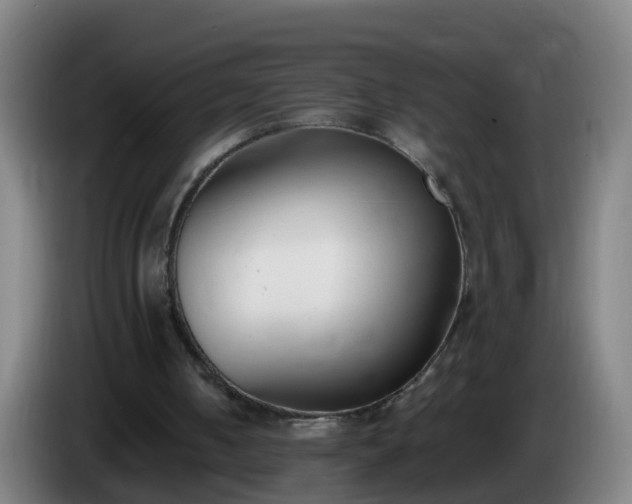 X0000086110050200703301246