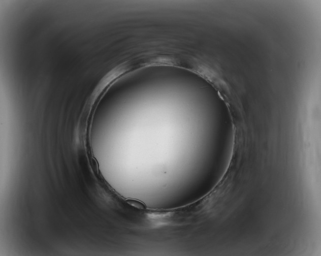 X0000086110051200703301246