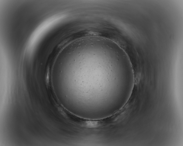 X0000086110052200703301246