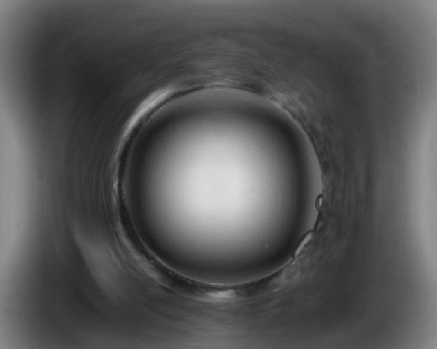 X0000086110054200703301246