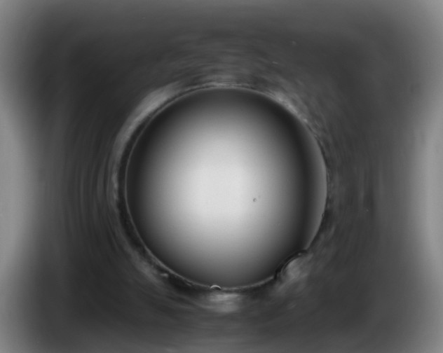 X0000086110055200703301246