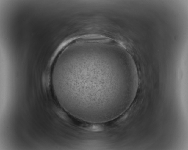 X0000086110056200703301246