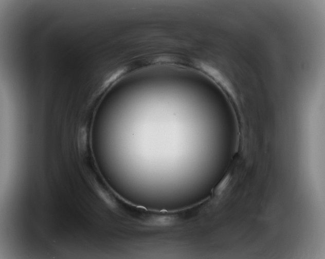 X0000086110057200703301246