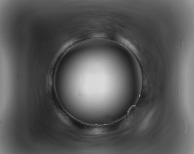 X0000086110059200703301246