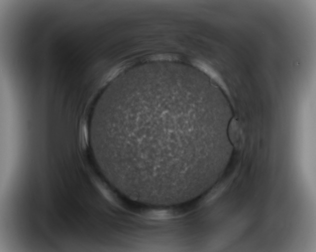 X0000086110061200703301246