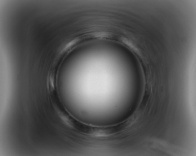 X0000086110062200703301246