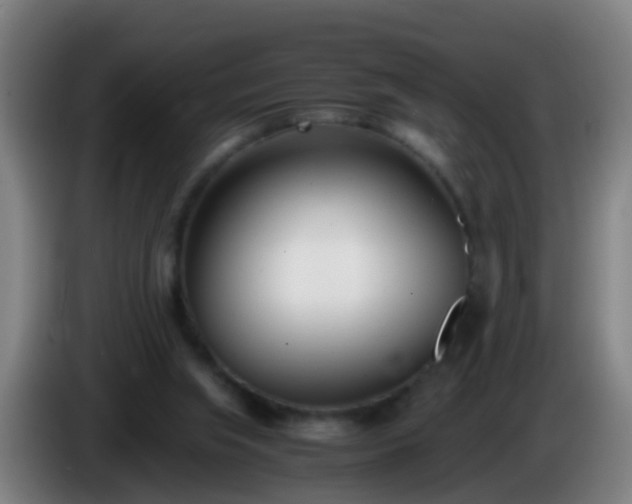 X0000086110063200703301246