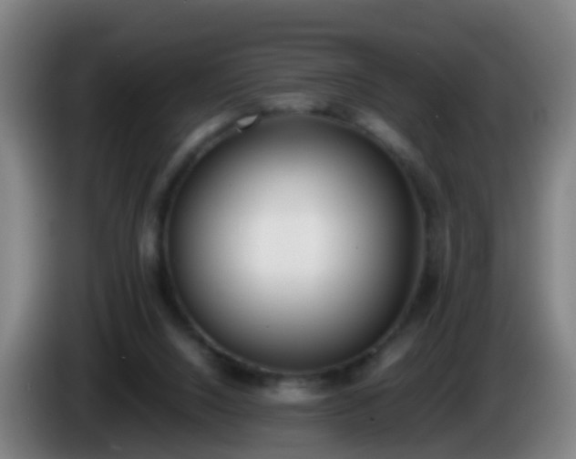 X0000086110064200703301246