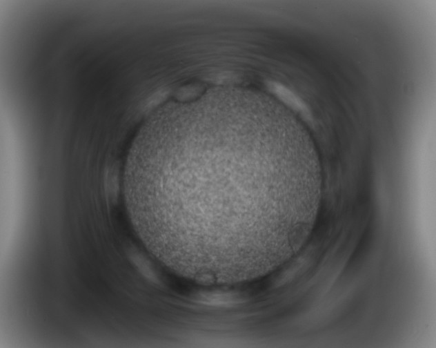 X0000086110065200703301246