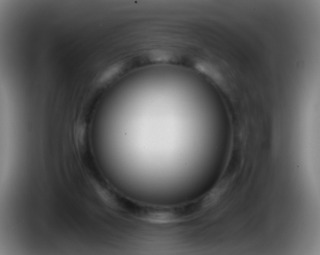 X0000086110066200703301246