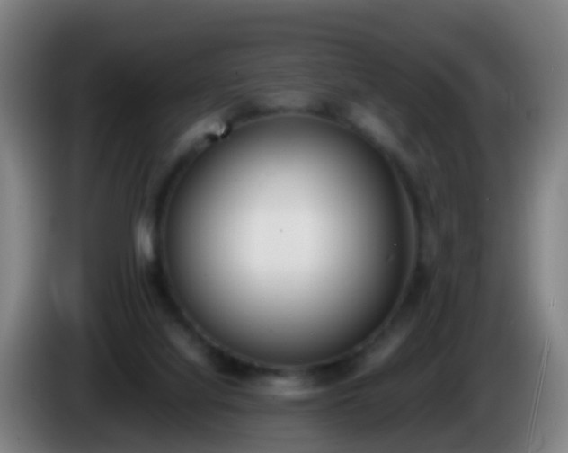 X0000086110068200703301246