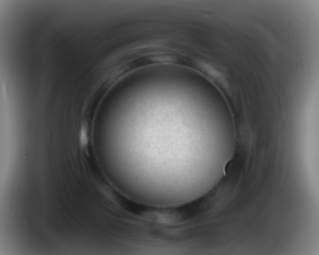 X0000086110069200703301246