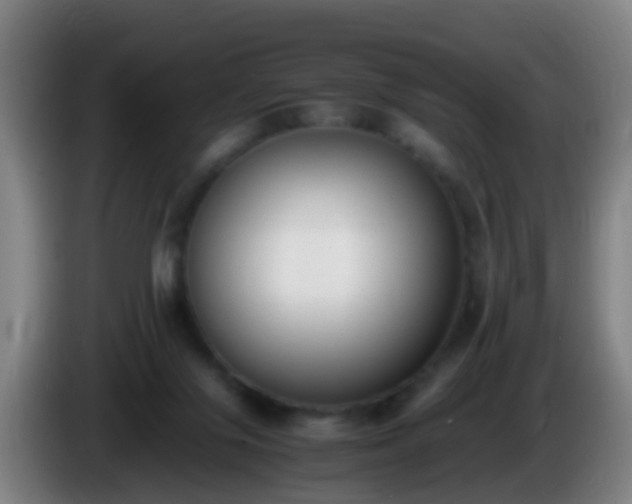 X0000086110071200703301246