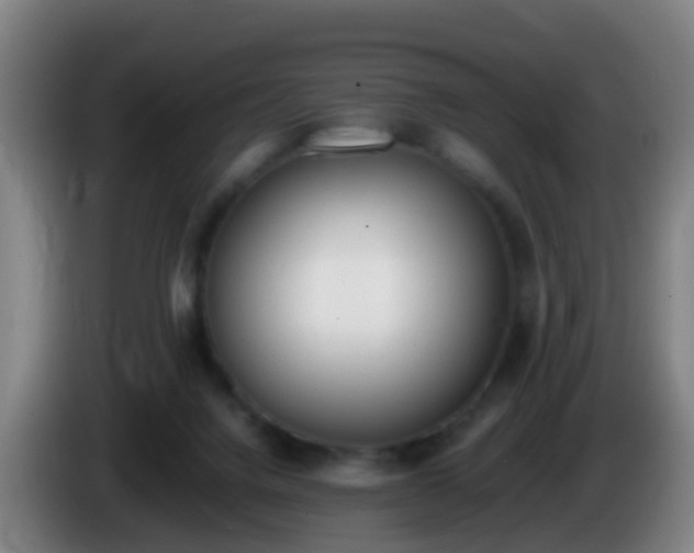 X0000086110072200703301246