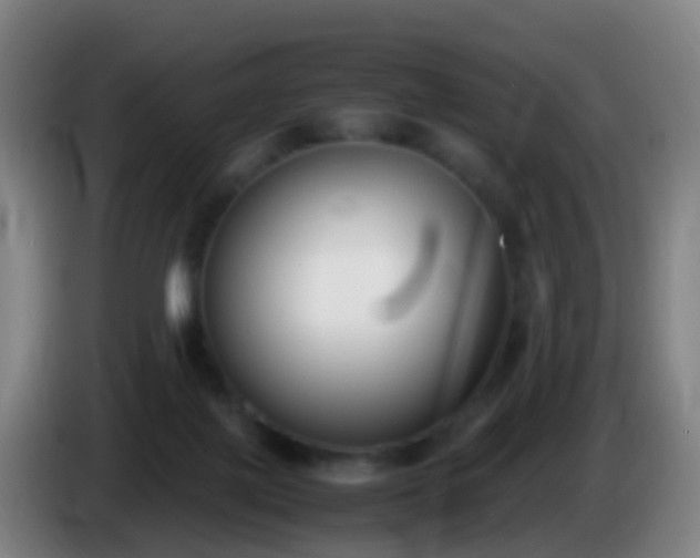 X0000086110075200703301246