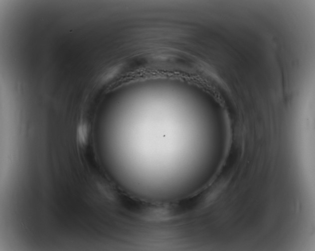 X0000086110076200703301246