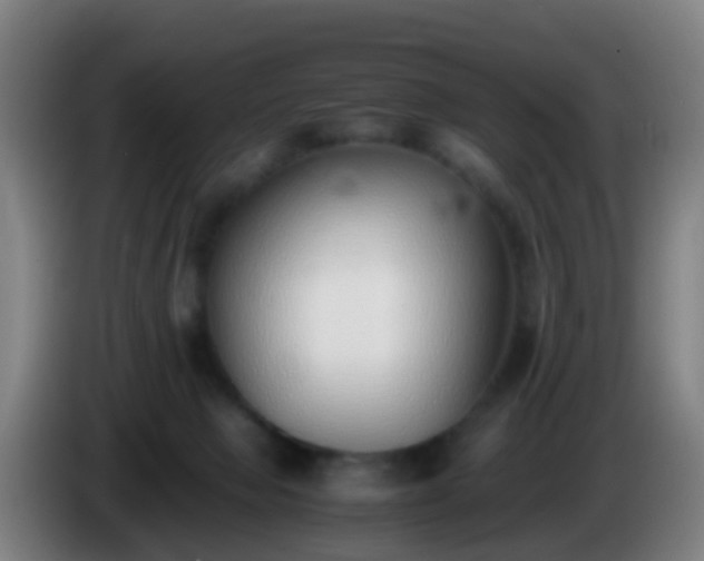 X0000086110077200703301246