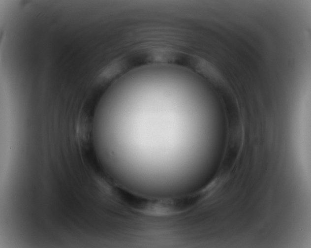 X0000086110078200703301246