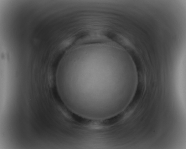 X0000086110080200703301246