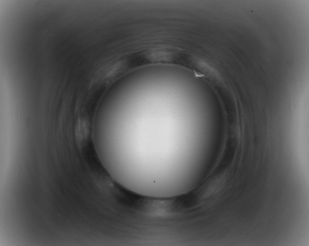 X0000086110081200703301246