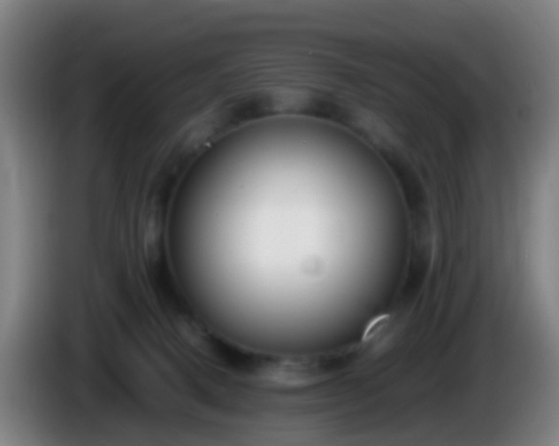 X0000086110082200703301246