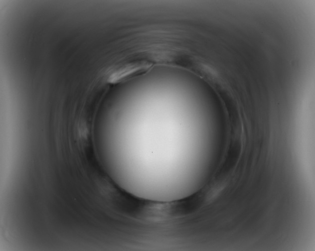 X0000086110084200703301246