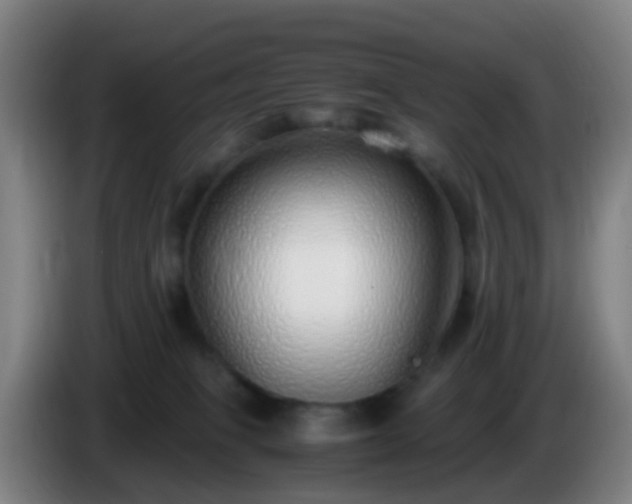 X0000086110085200703301246