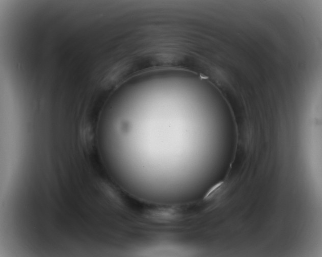 X0000086110086200703301246