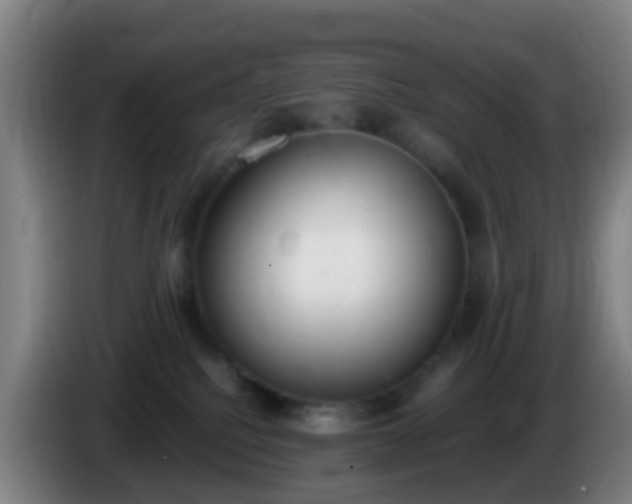 X0000086110088200703301246