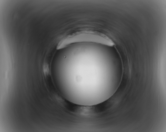 X0000086110089200703301246