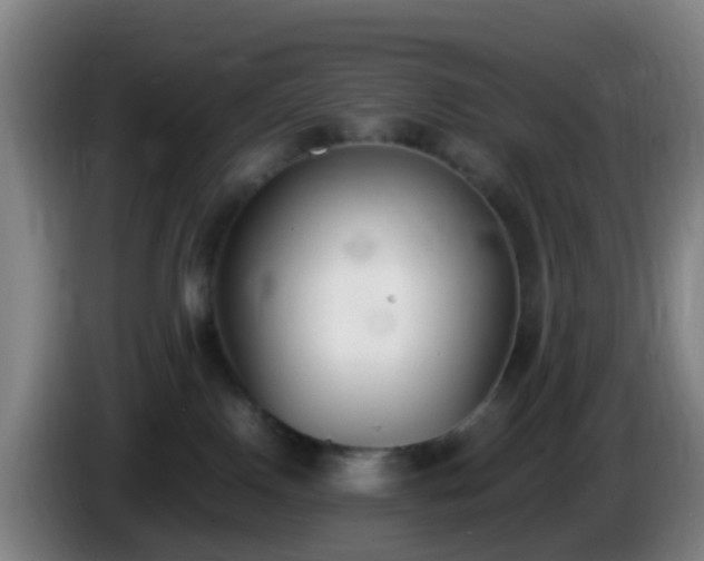 X0000086110090200703301246