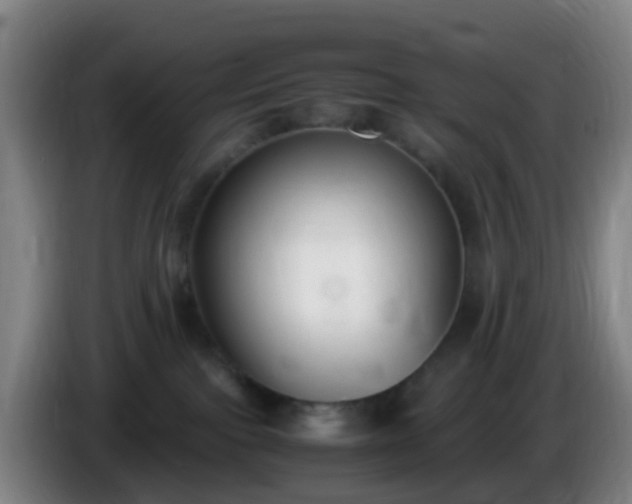 X0000086110091200703301246