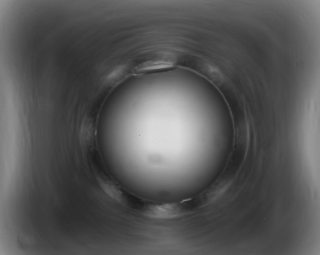 X0000086110092200703301246