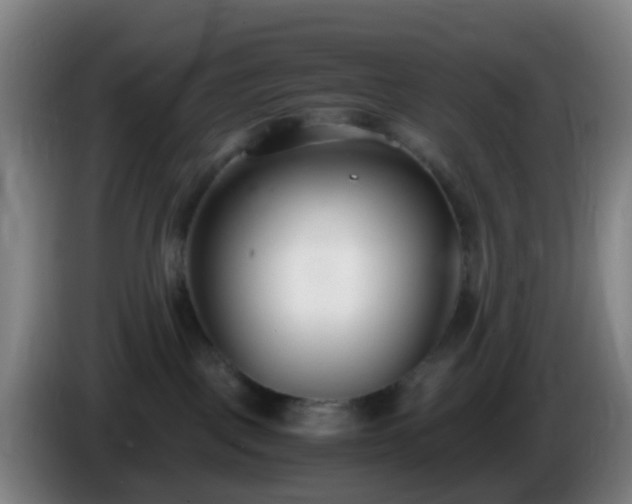 X0000086110093200703301246