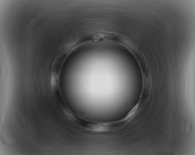 X0000086110094200703301246