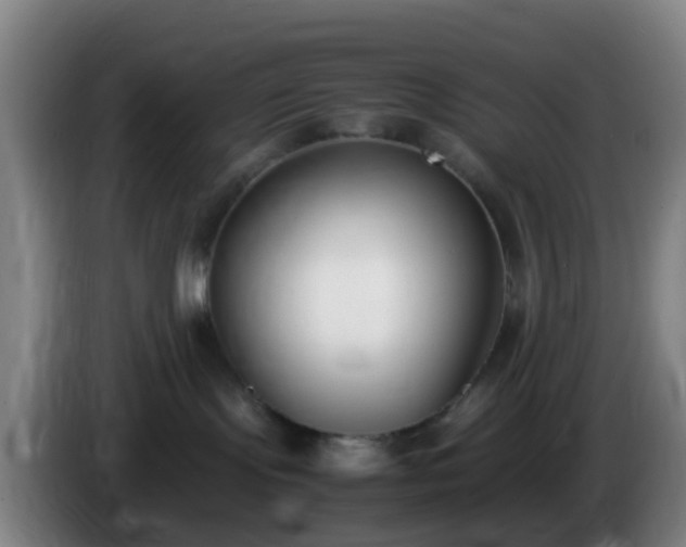 X0000086110095200703301246