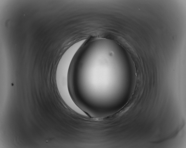 X0000086110096200703301246