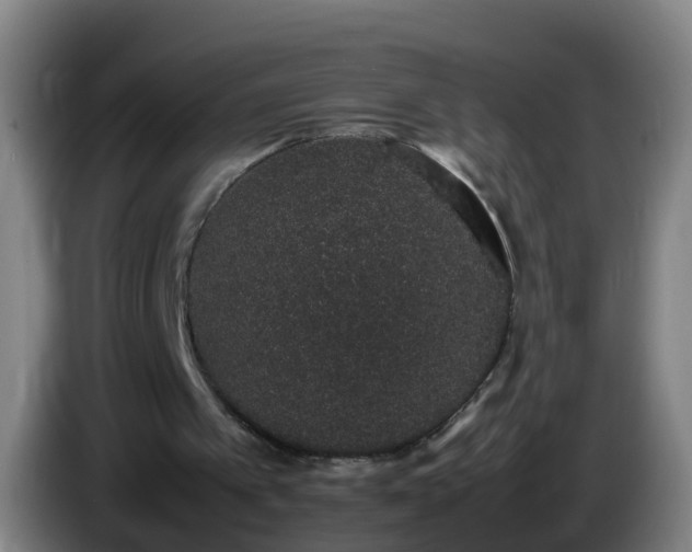 X0000086110097200703301246