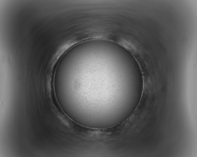 X0000086110098200703301246