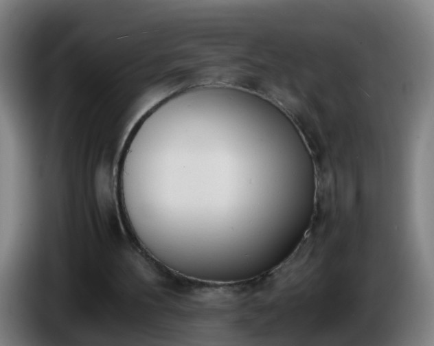 X0000086110100200703301246