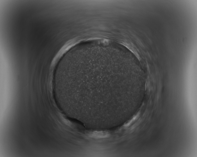 X0000086110101200703301246