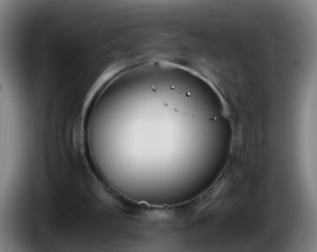 X0000086110102200703301246