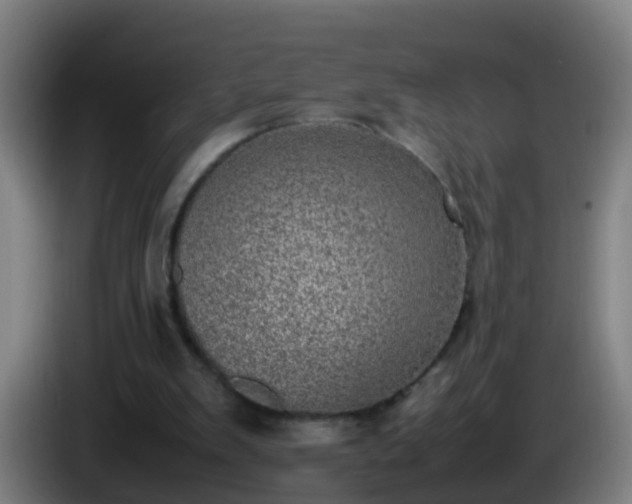 X0000086110103200703301246