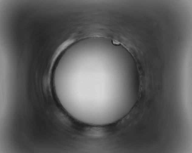 X0000086110104200703301245