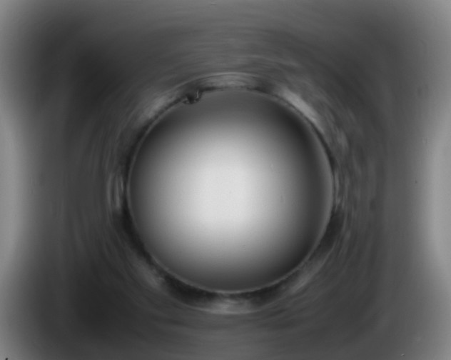 X0000086110109200703301245