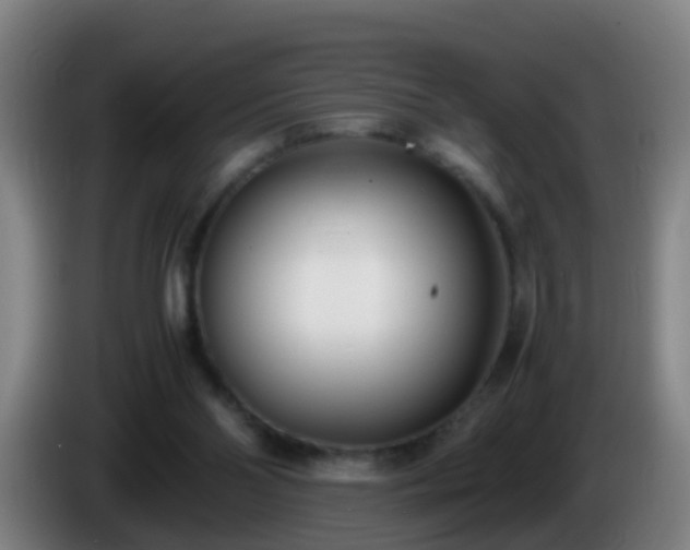 X0000086110110200703301245