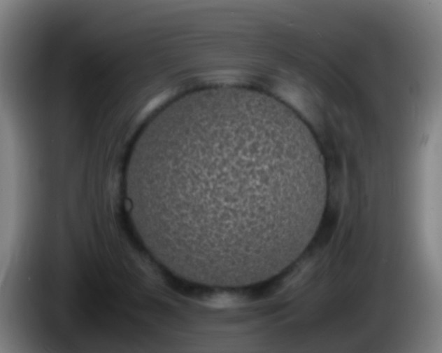 X0000086110111200703301245