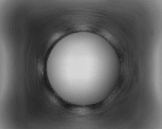 X0000086110112200703301245